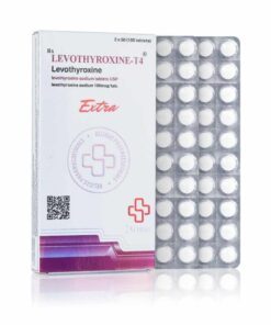 Levothyroxine - T4 100mcg - Beligas