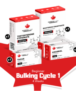 Beginner Bulking Cycle 1 (4 Weeks)